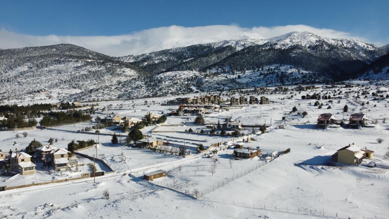 Chalet Renata 1 Livadi Arachovas Kalivia  Bagian luar foto